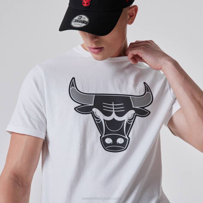 New Era chicago bulls nba schets logo wit t-shirt BT242845